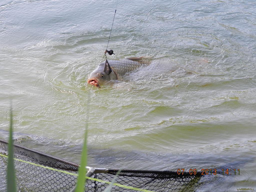 7-8  septembrie20013 - dscn1706.JPG